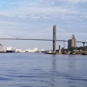 Meet your Posher, Gyongyi